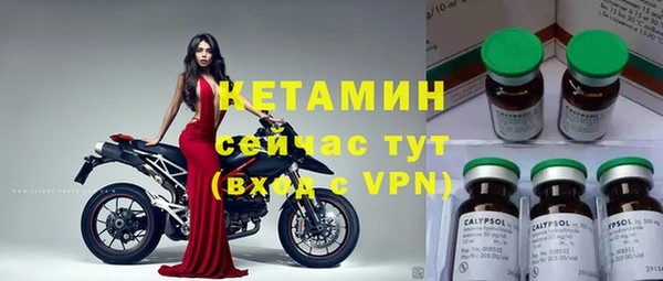 a pvp Бородино