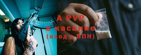 a pvp Бородино