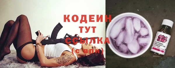 a pvp Бородино