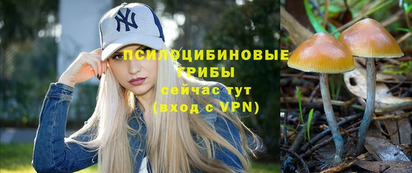 mdpv Бронницы