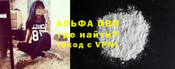a pvp Бородино