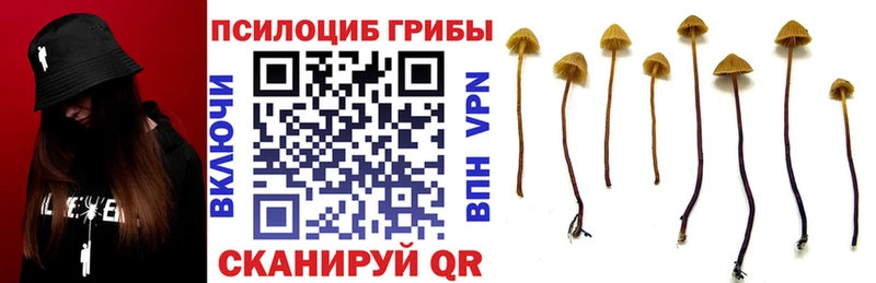 Псилоцибиновые грибы MAGIC MUSHROOMS  Купить  Губкинский 